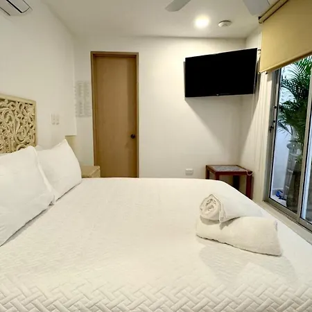 Colonial House - Rooftop-water Lounge - Getsemani